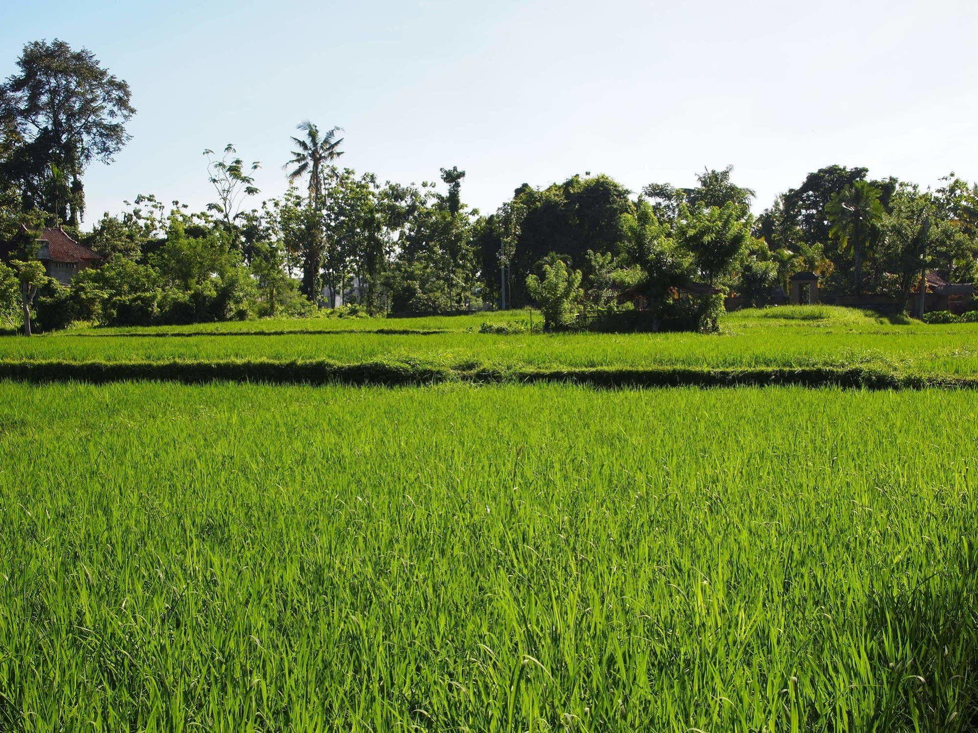 Saren Indah - Chse Certified Hotel